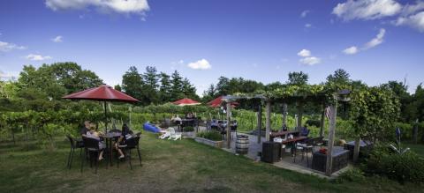 Appolo Vineyards seating area