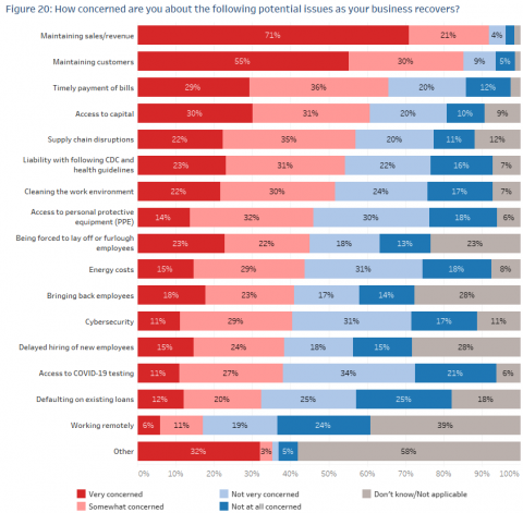 A chart showing survey results for concerns about maintaining sales/revenue.