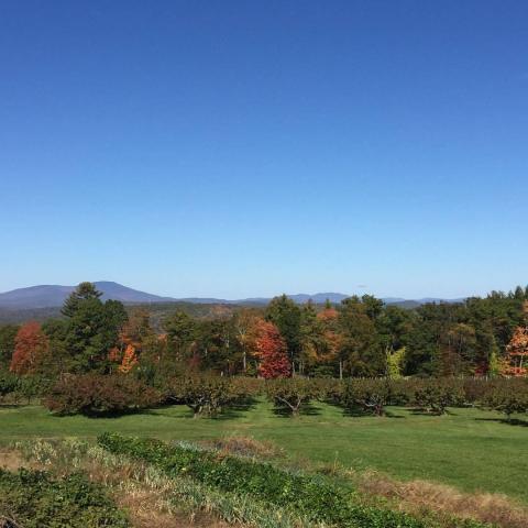 Gould Hill view