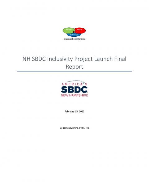 inclusivity project report image
