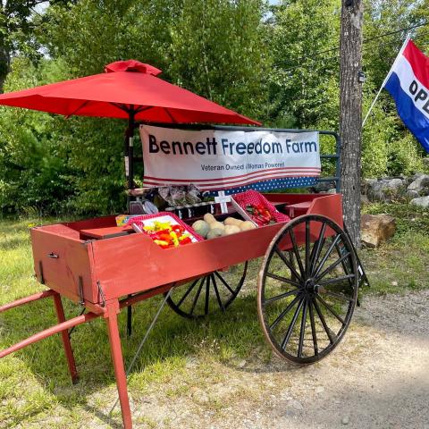 Red roadside cart with veggies for sale & Bennett Freedom Farm banner